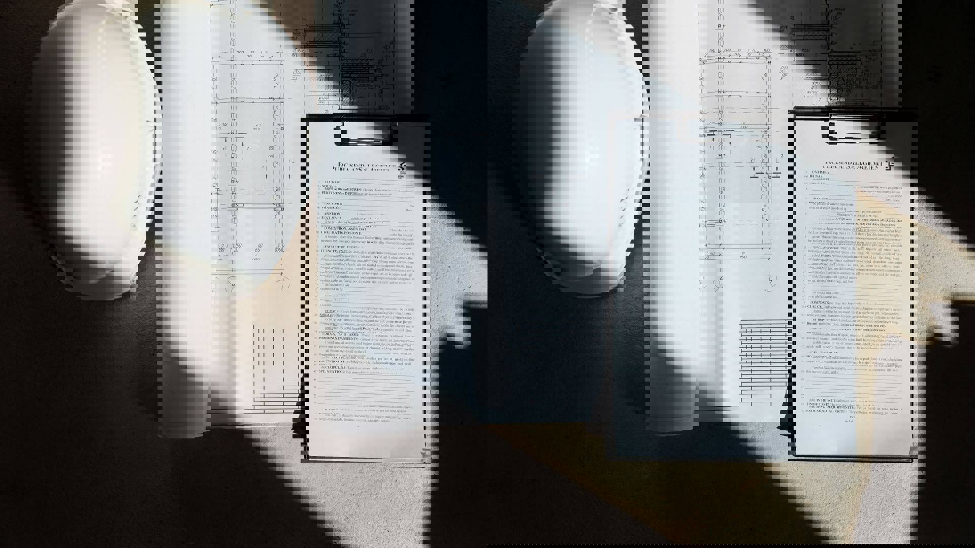 Publications and policy